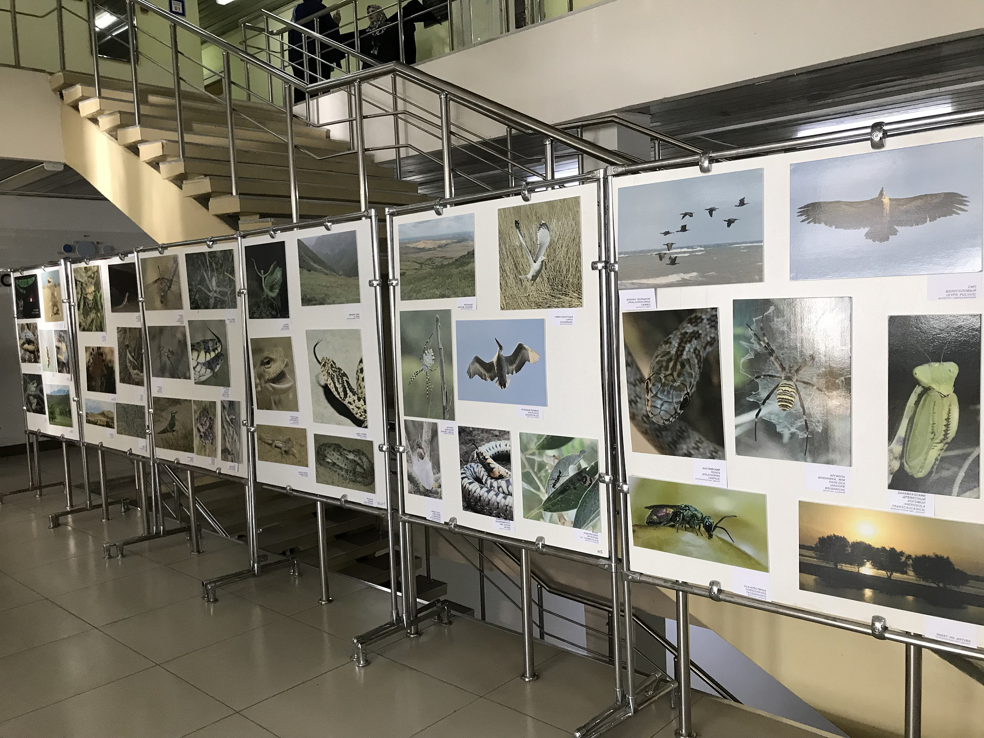 Международная герпетологическая конференция прошла в ДГУ